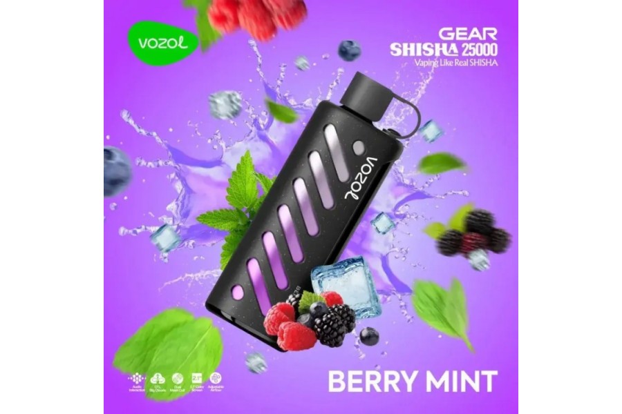 VOZOL Berry Mint GEAR 25000 VOZOL Berry Mint GEAR 25000