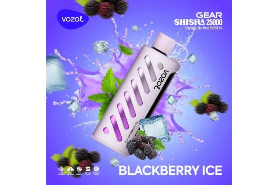 VOZOL Blackberry Ice GEAR 25000 VOZOL Blackberry Ice GEAR 25000