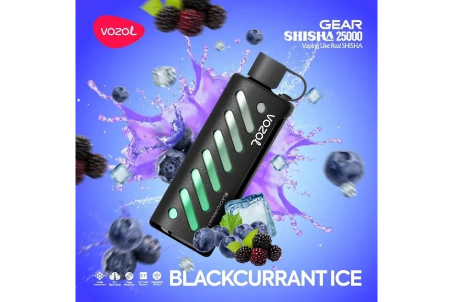 VOZOL Blackcurrant Ice GEAR 25000