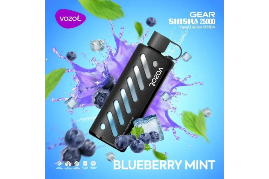 VOZOL Blueberry Mint GEAR 25000 VOZOL Blueberry Mint GEAR 25000